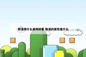 斯温用什么披风好看 斯温的属性是什么