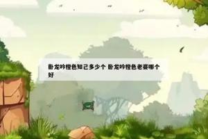 卧龙吟橙色知己多少个 卧龙吟橙色老婆哪个好