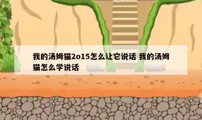 我的汤姆猫2o15怎么让它说话 我的汤姆猫怎么学说话