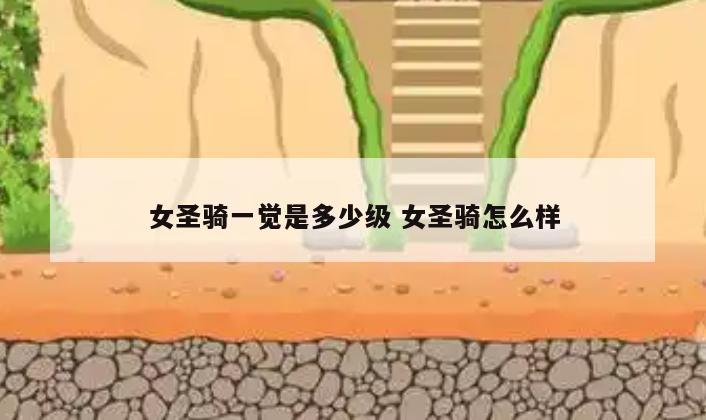 女圣骑一觉是多少级 女圣骑怎么样
