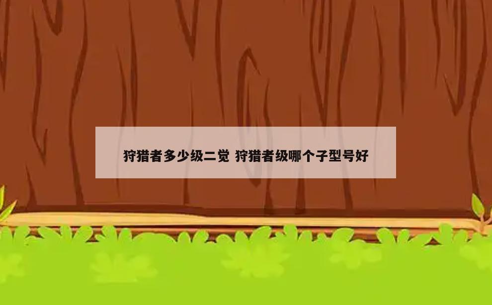 狩猎者多少级二觉 狩猎者级哪个子型号好