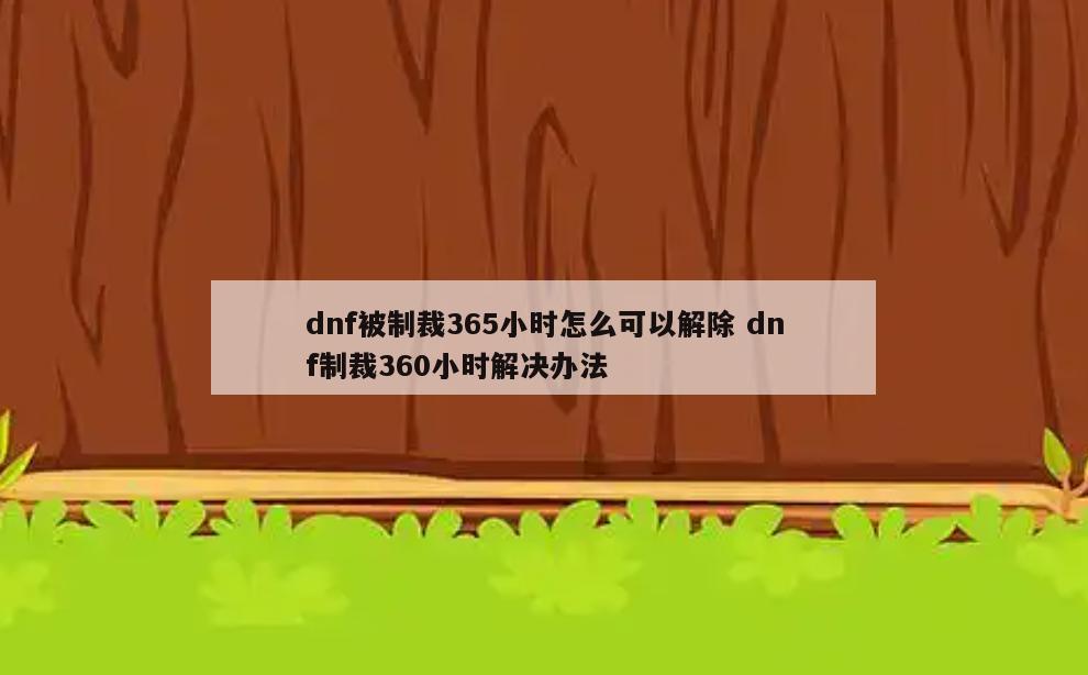 dnf被制裁365小时怎么可以解除 dnf制裁360小时解决办法