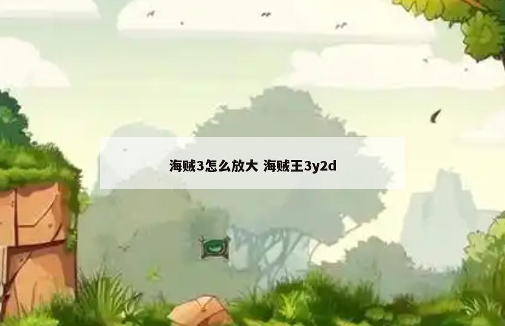 海贼3怎么放大 海贼王3y2d