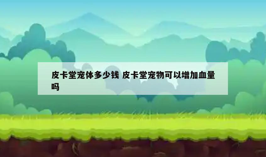 皮卡堂宠体多少钱 皮卡堂宠物可以增加血量吗