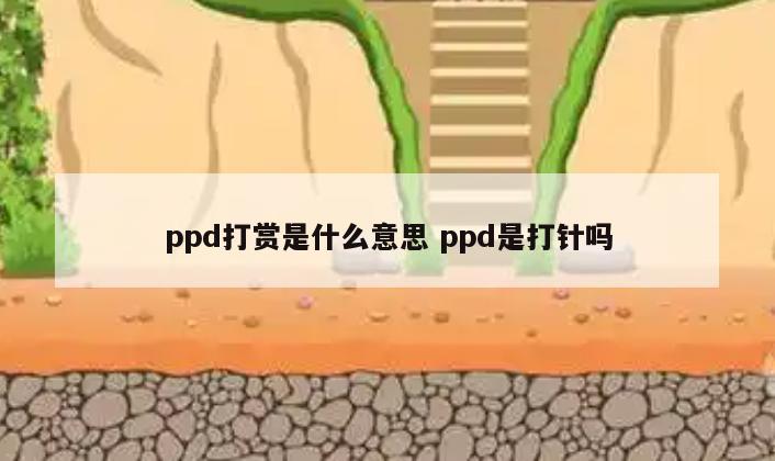 ppd打赏是什么意思 ppd是打针吗